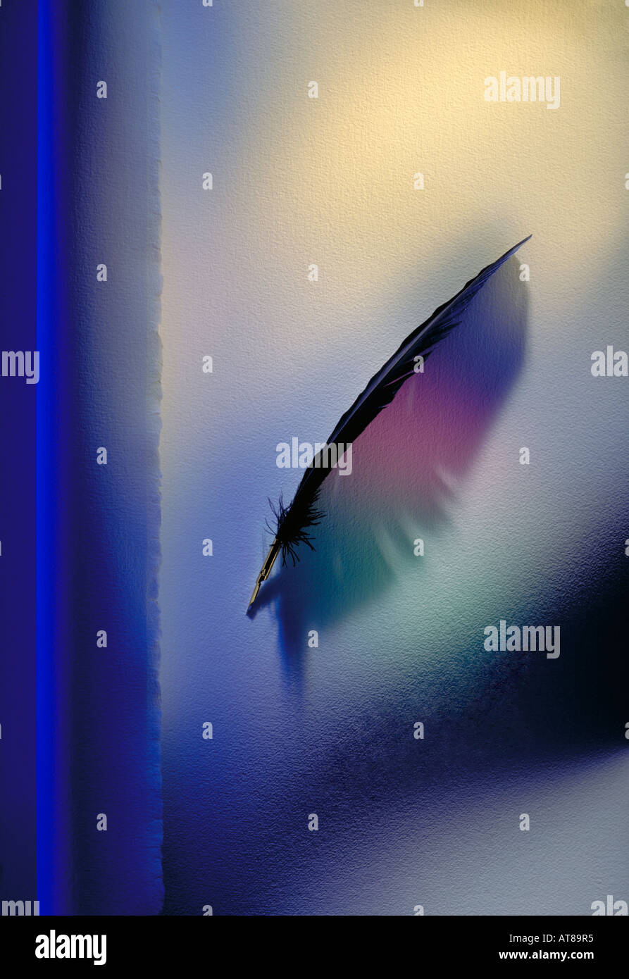 Plume posée sur un papier aquarelle Banque D'Images