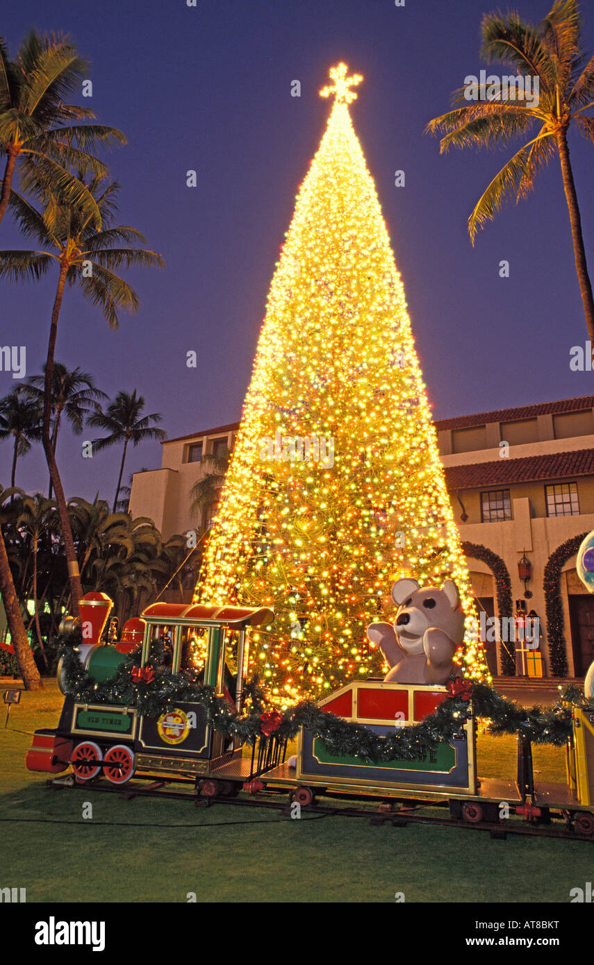 Voir l'arbre de Noël de crépuscule à Honolulu Hale Banque D'Images