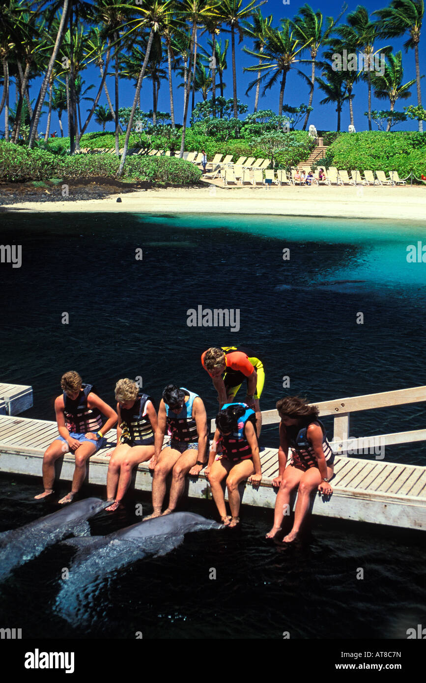 Groupe de six touristes sur un pont d'interagir avec deux dauphins dans un lagon bleu au fabuleux Hilton Waikaloa sur le village Banque D'Images