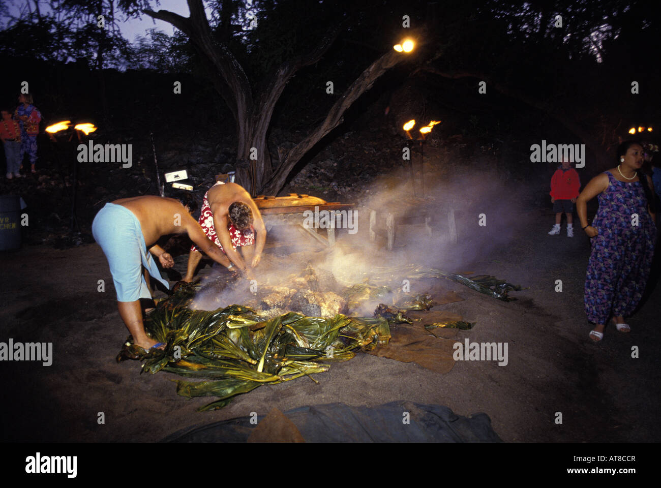 Deux hommes déposer les feuilles de ti et vérifier l'pour un cochon braisé à la luau Kona Village Resort sur la grande île d'Hawaï. Banque D'Images
