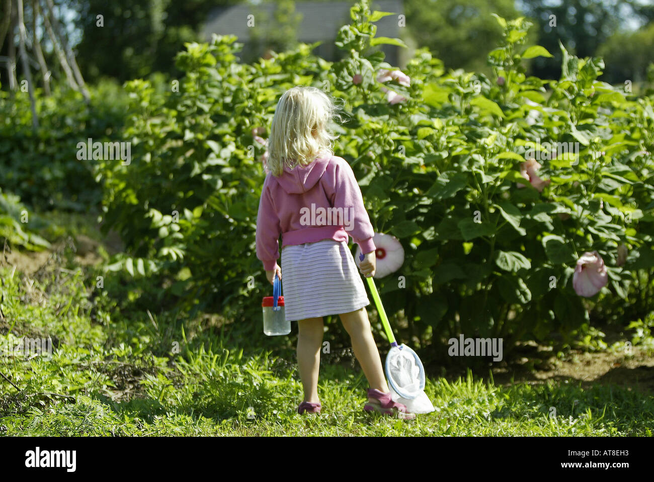 Enfant essayant d'attraper un papillon Banque D'Images