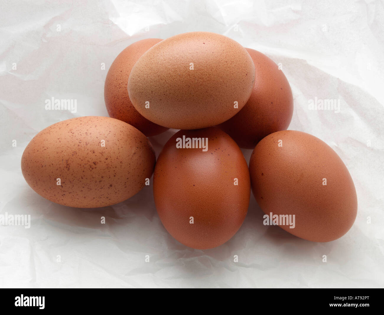 Des œufs en papier blanc editorial food Banque D'Images