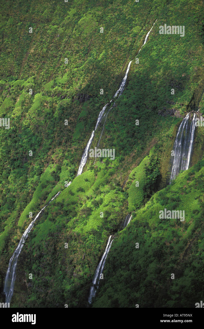 Dans Waiilikahi Falls Waimanu vallée du nord de la grande île de Kohala. Rubans de white couler dans le mur de la vallée verte et luxuriante Banque D'Images