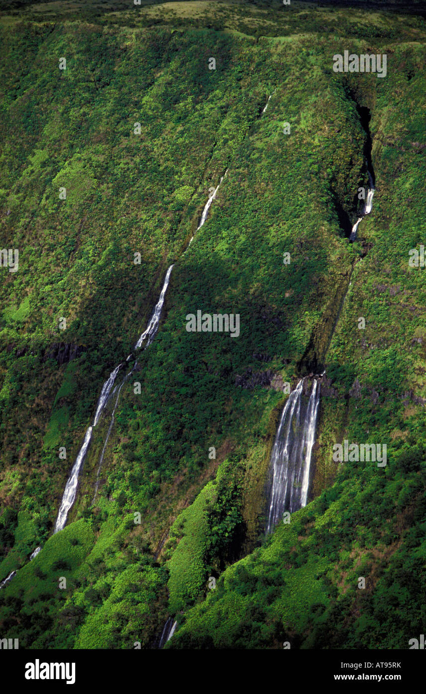 Vallée verdoyante wall striées de chutes d'eau et en partie ombragé par des ombres de nuages dans la région côtière du nord, Kohala de Big Island Banque D'Images