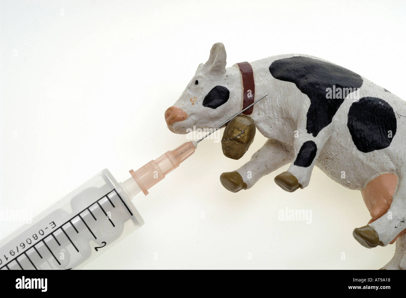 Les aliments contaminés, vache Banque D'Images