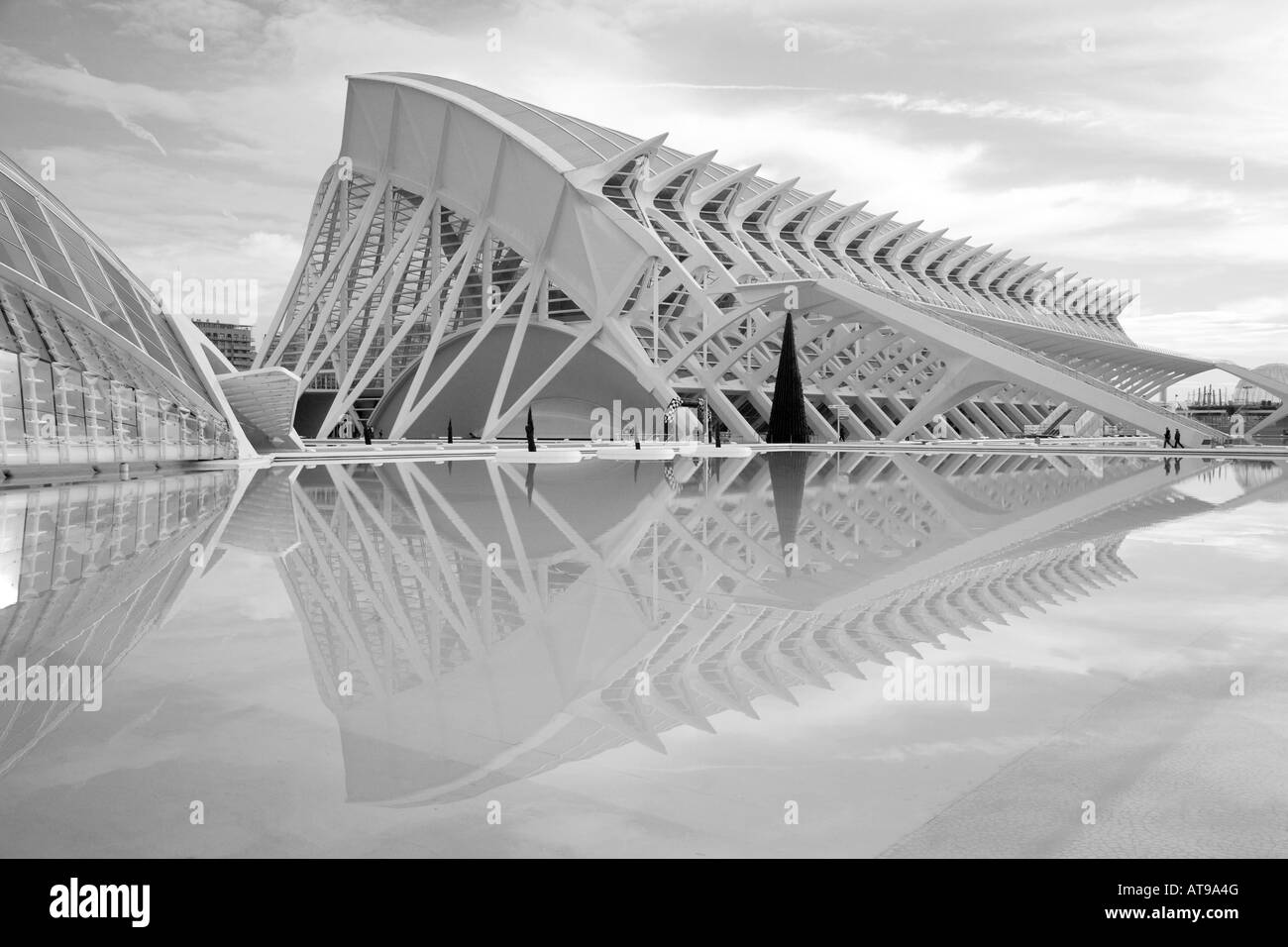 Musée des sciences Principe Felipe, les arts et Science City par Calatrava, Valencia, Espagne Banque D'Images