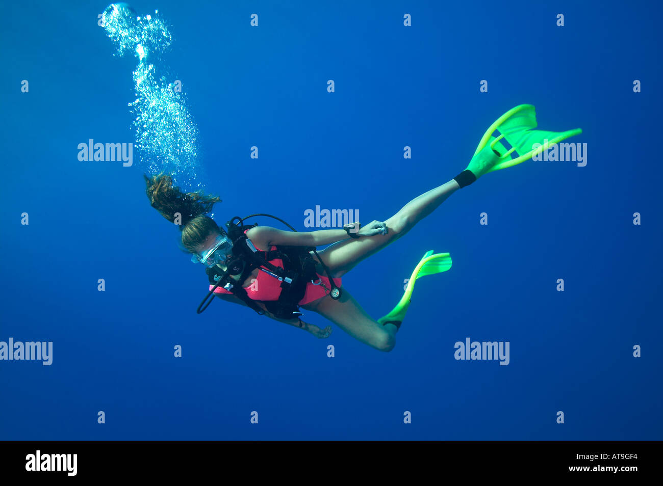 Butée de sécurité faire plongeur femme Grottes Mucho divesite Cay Sal Bank Bahamas Banque D'Images