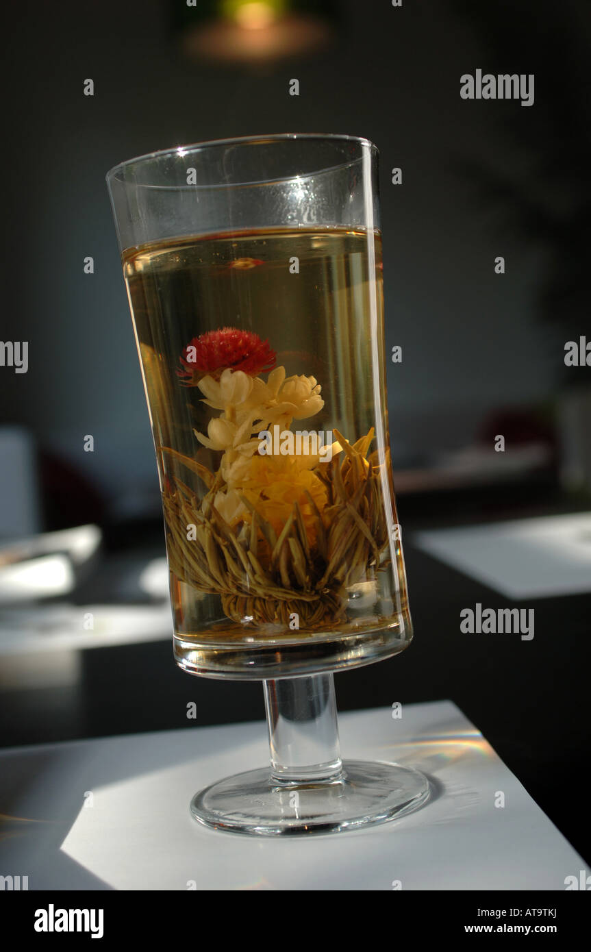 Un verre de thé, de fleurs ou de thé au jasmin, représentée dans un restaurant asiatique. Banque D'Images
