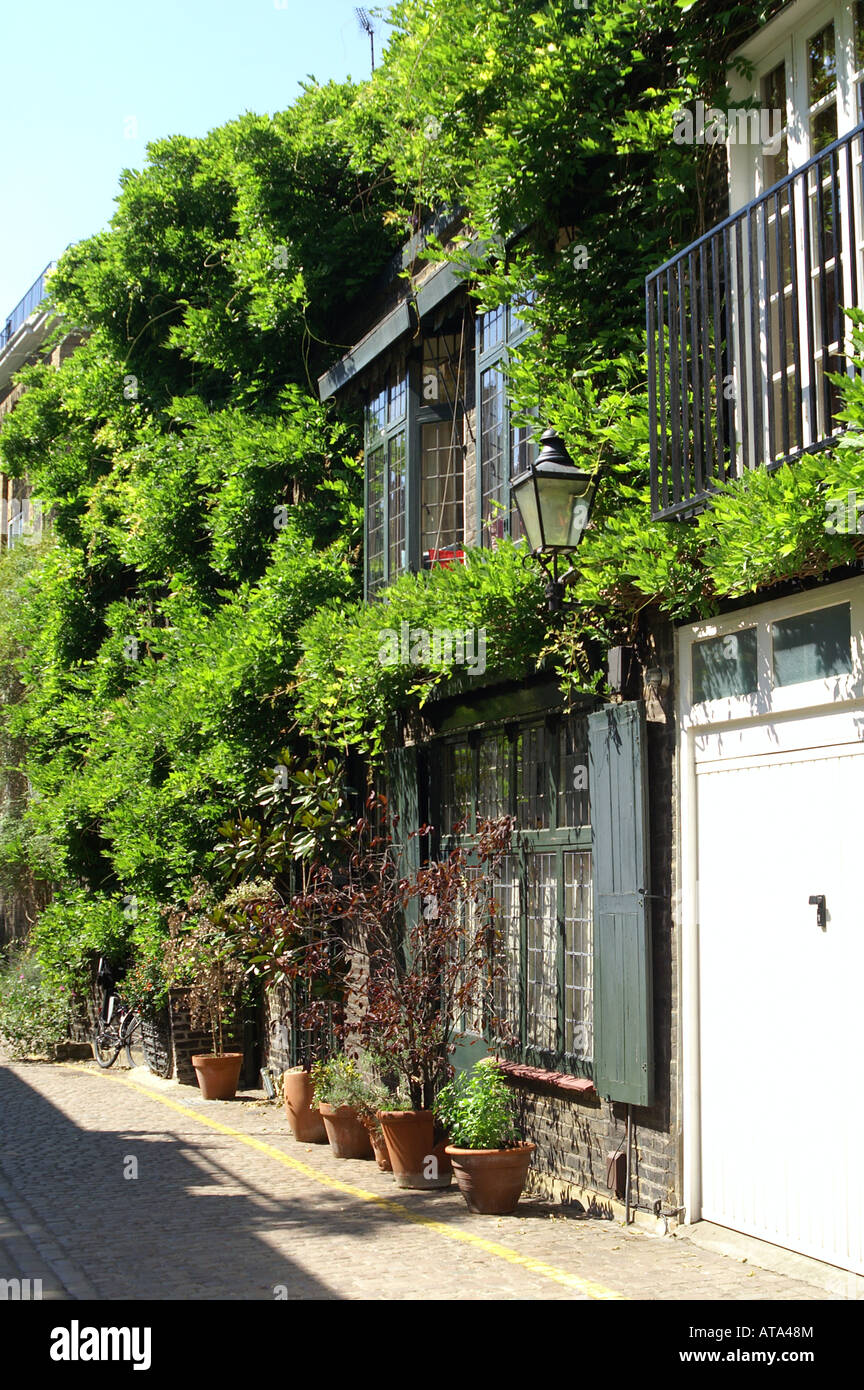 London Mews typique. Vignes et plantes grimpantes sur un mews house dans le sud de Kensington, Londres Banque D'Images
