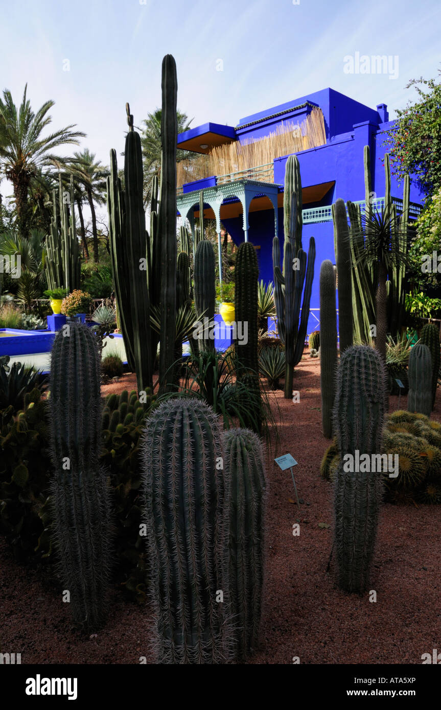 Jardin Majorelle, Marrakech, Maroc Banque D'Images