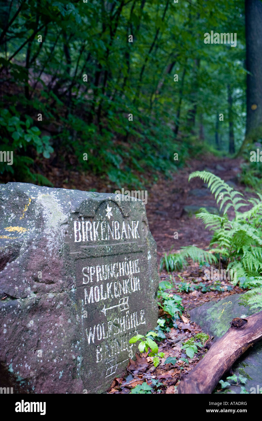 Route de marqueurs dans la forêt Oden (Odenwald) près de Heidelberg Banque D'Images