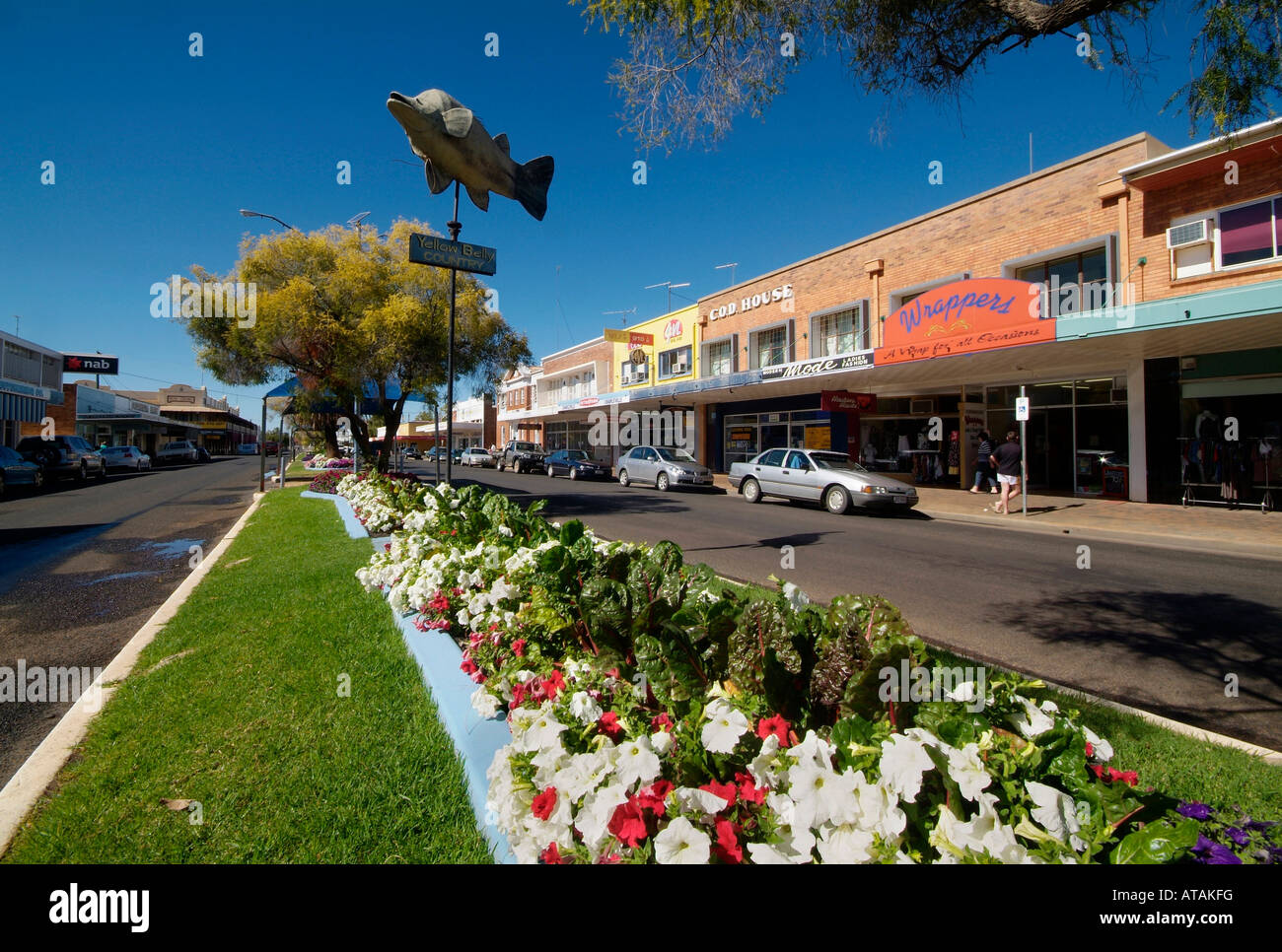 Charleville ouest du Queensland Australie affichage floral avec silverbeet, j'ai photo par Bruce Miller 2007 Banque D'Images