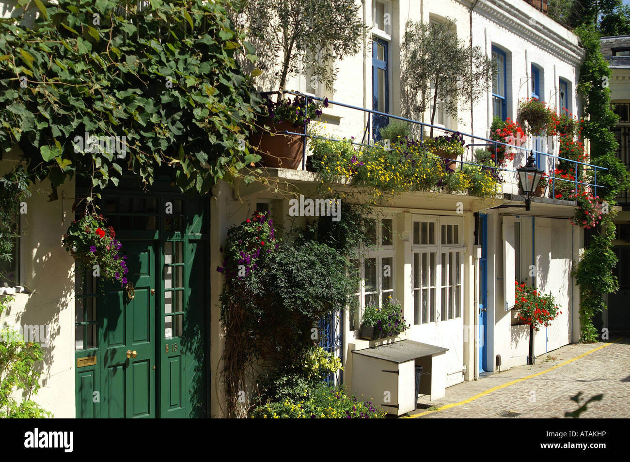 London mews avec blanc recouverte de vigne, maisons, portes et portes vert bleu Banque D'Images