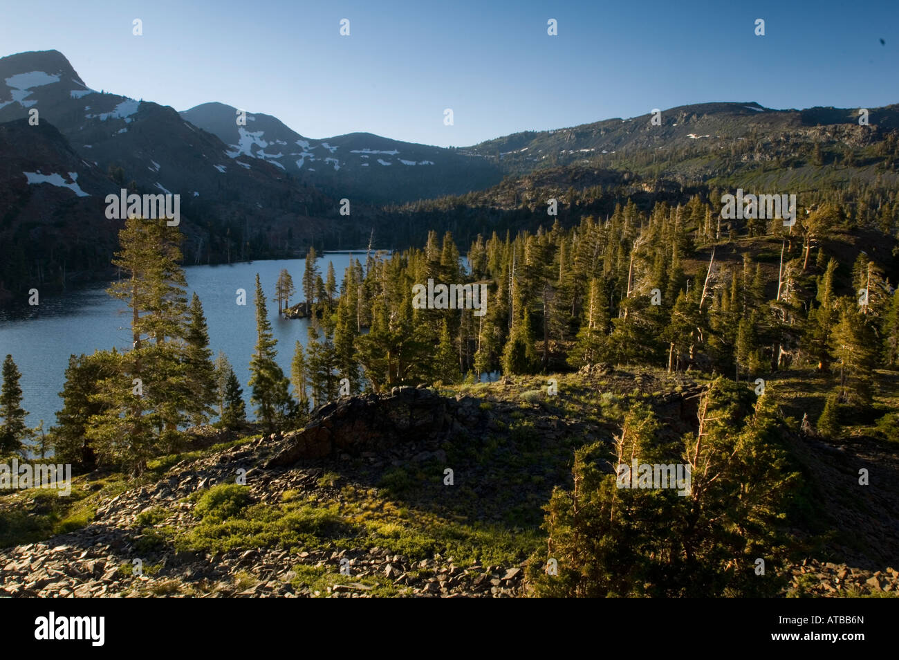 Donnant sur la forêt et les montagnes alpines au-dessus du lac Suzie désolation désert High Sierra en Californie Banque D'Images