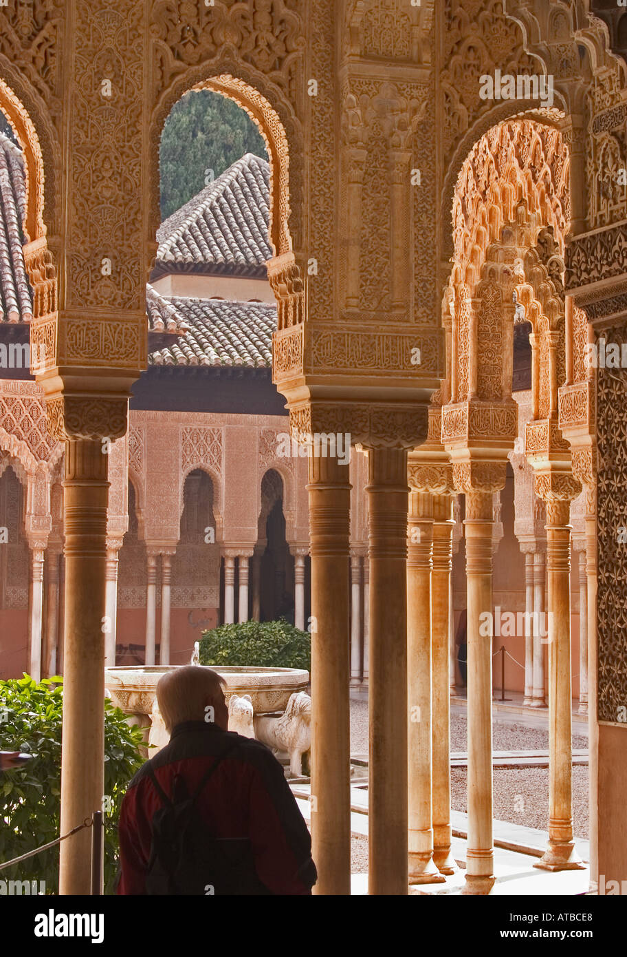 Granada, Espagne. La Alhambra. Patio de los Leones ou Cour des Lions Banque D'Images