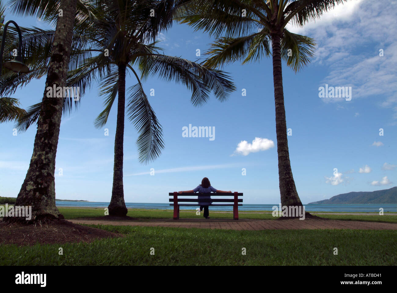 Australie Cairns Queensland une femme assise sous les palmiers, photo par Bruce Miller 504 Banque D'Images