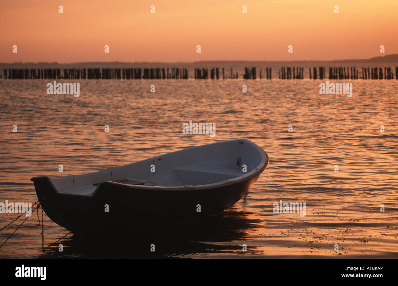 Barque dans le soleil du soir, l'Allemagne, de Mecklembourg-Poméranie occidentale, Ruegen Banque D'Images