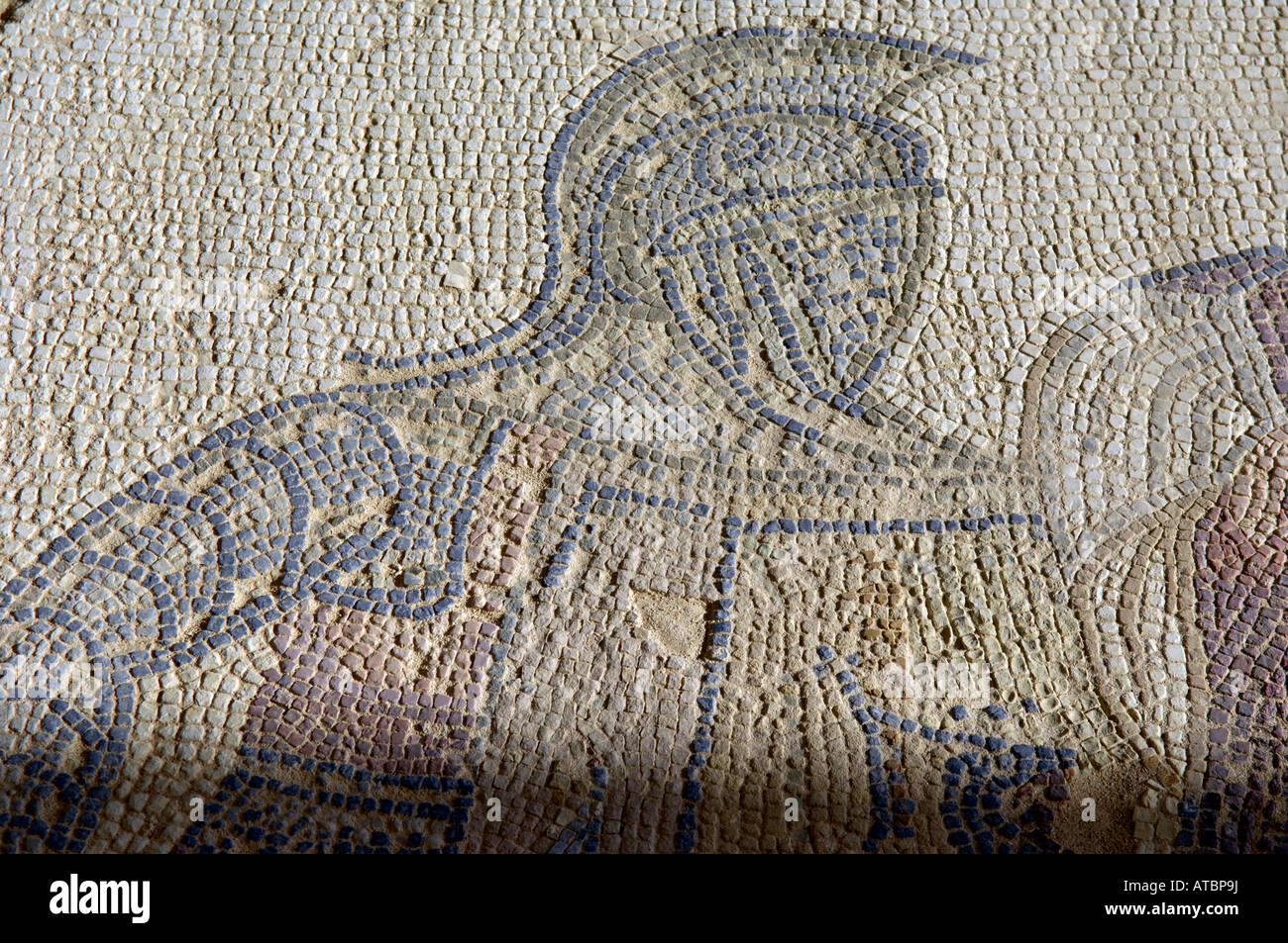 Chambre des gladiateurs mosaïque kourion Chypre episkopi Banque D'Images