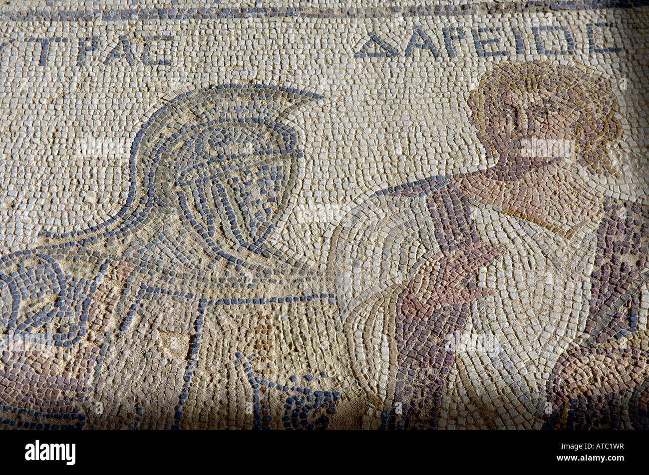 Chambre des gladiateurs mosaïque kourion Chypre episkopi Banque D'Images