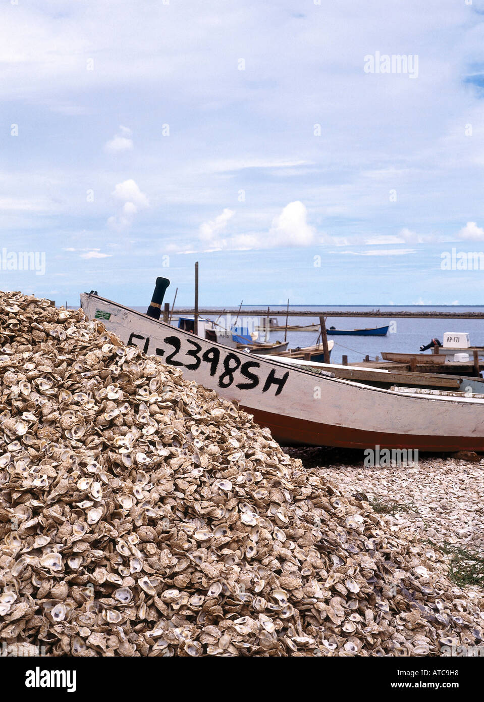D'huîtres sur le port de l'Apalachicola qui produit 90 pour cent de la Floride s oyster la récolte de ses milliers d'hectares de parcs à huîtres Banque D'Images