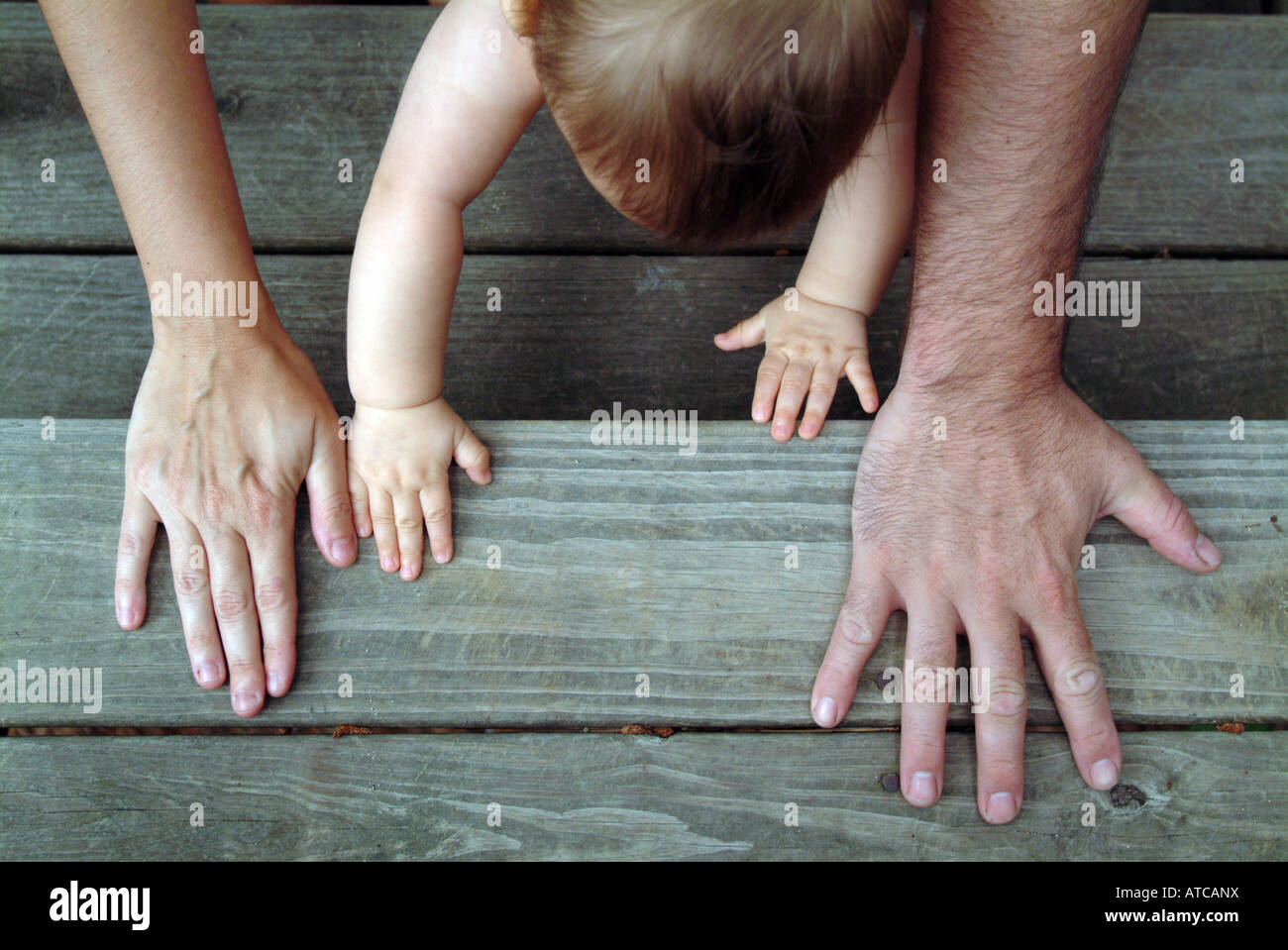 Les mains d'un un (1) an à côté de ses parents mains Banque D'Images