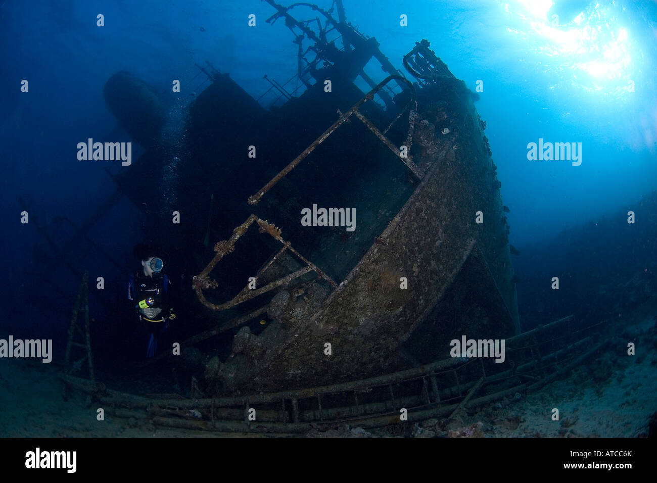 Plongeur et Dun naufrage Raven, Mer Rouge, plongée sous-marine, plongée, mer, océan, l'eau bleue, profonde, épave, navire, femme diver Banque D'Images