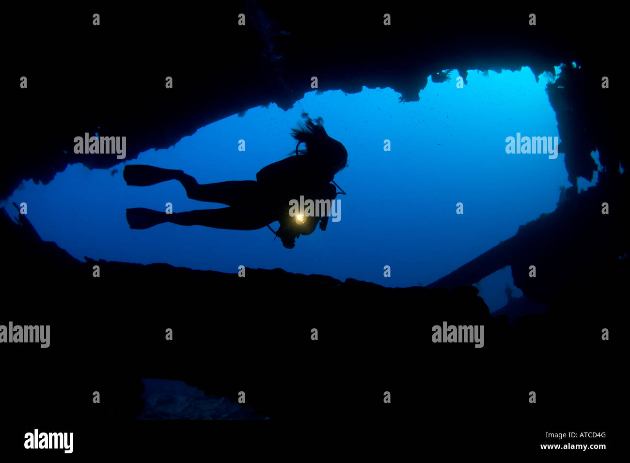 Plongeur et naufrage, Mer Rouge, Egypte, plongée sous-marine, plongée sous-marine, l'océan, sur la mer, femme diver, silhouette, Blue Water Banque D'Images