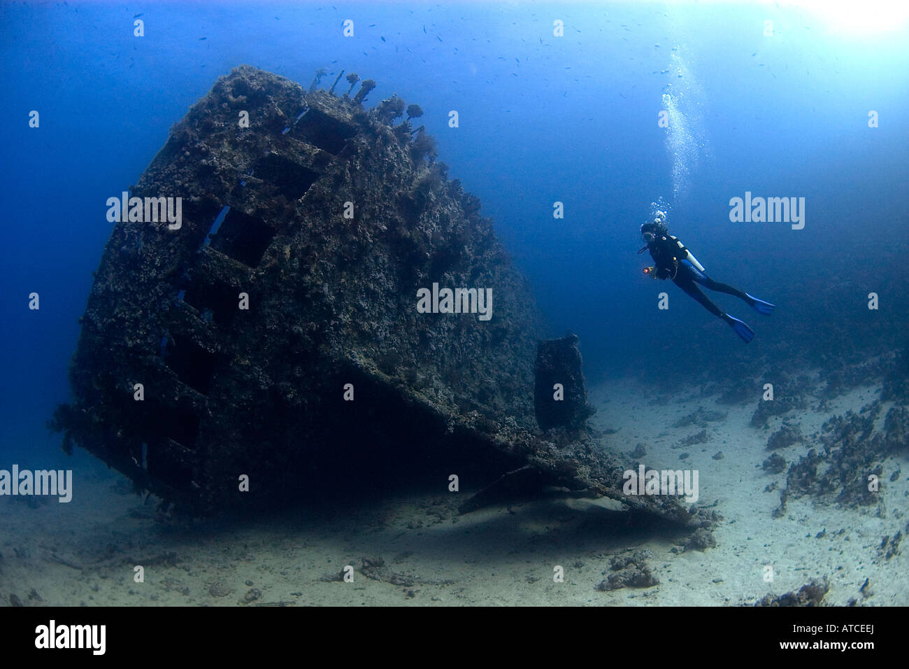 Plongeur et naufrage Carnatique, Mer Rouge, plongée sous-marine, plongée, mer, océan, l'eau bleue, profonde, épave, navire, femme plongeur, Egypte Banque D'Images