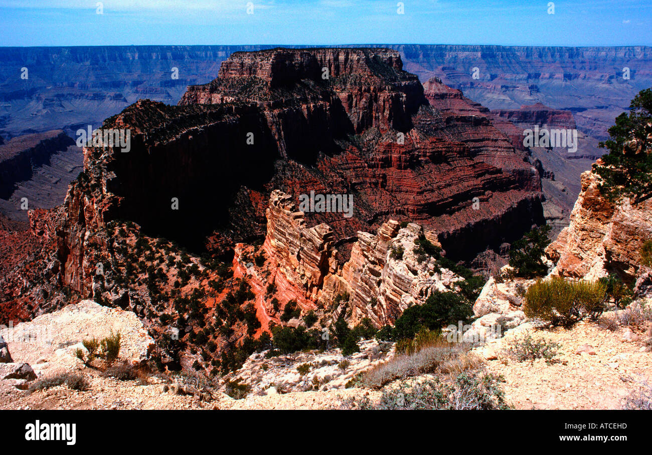 Vue depuis Cape Royal North Rim Grand Canyon National Park Arizona USA Banque D'Images