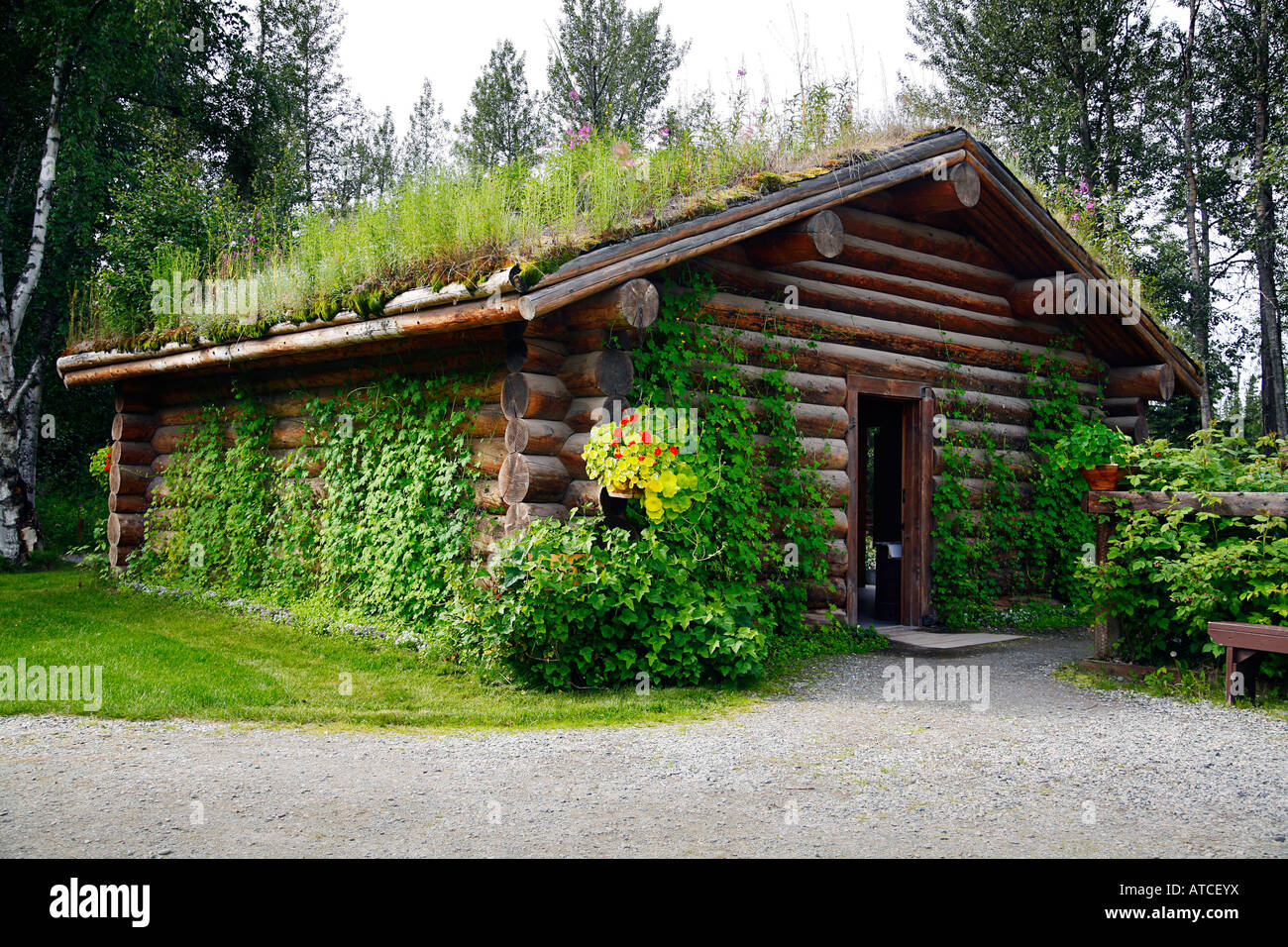 Rikas Homestead Rivière Delta Junction Alaska USA Banque D'Images