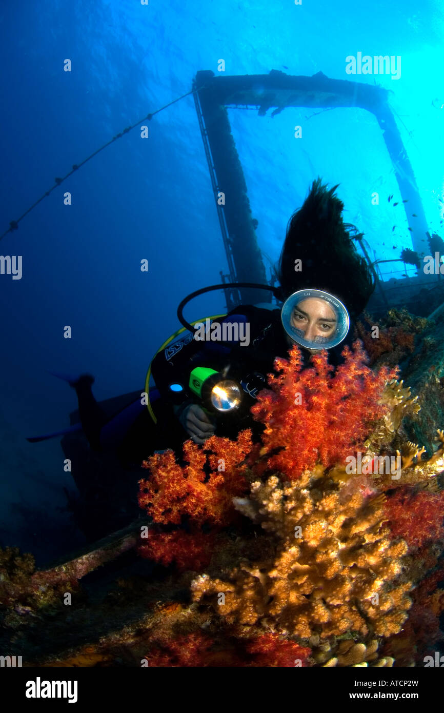 Diver et coraux mous en épave, Mer Rouge, Egypte, plongée sous-marine, plongée sous-marine, l'océan, sur la mer, l'eau bleue, l'eau claire, Coral, Giannis D Banque D'Images