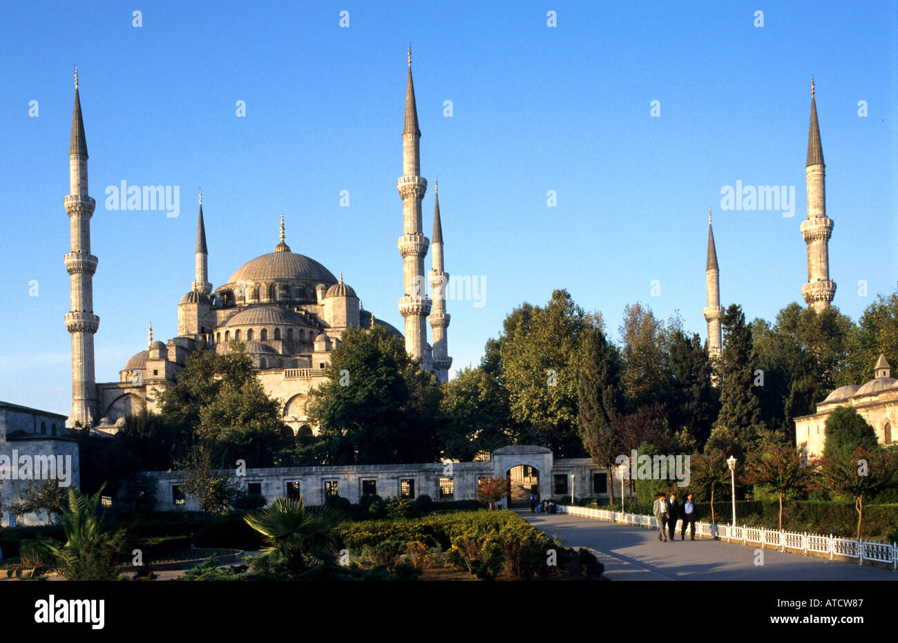 Istanbul Turquie Mosquée Bleue Sultan Ahmet Camil Banque D'Images