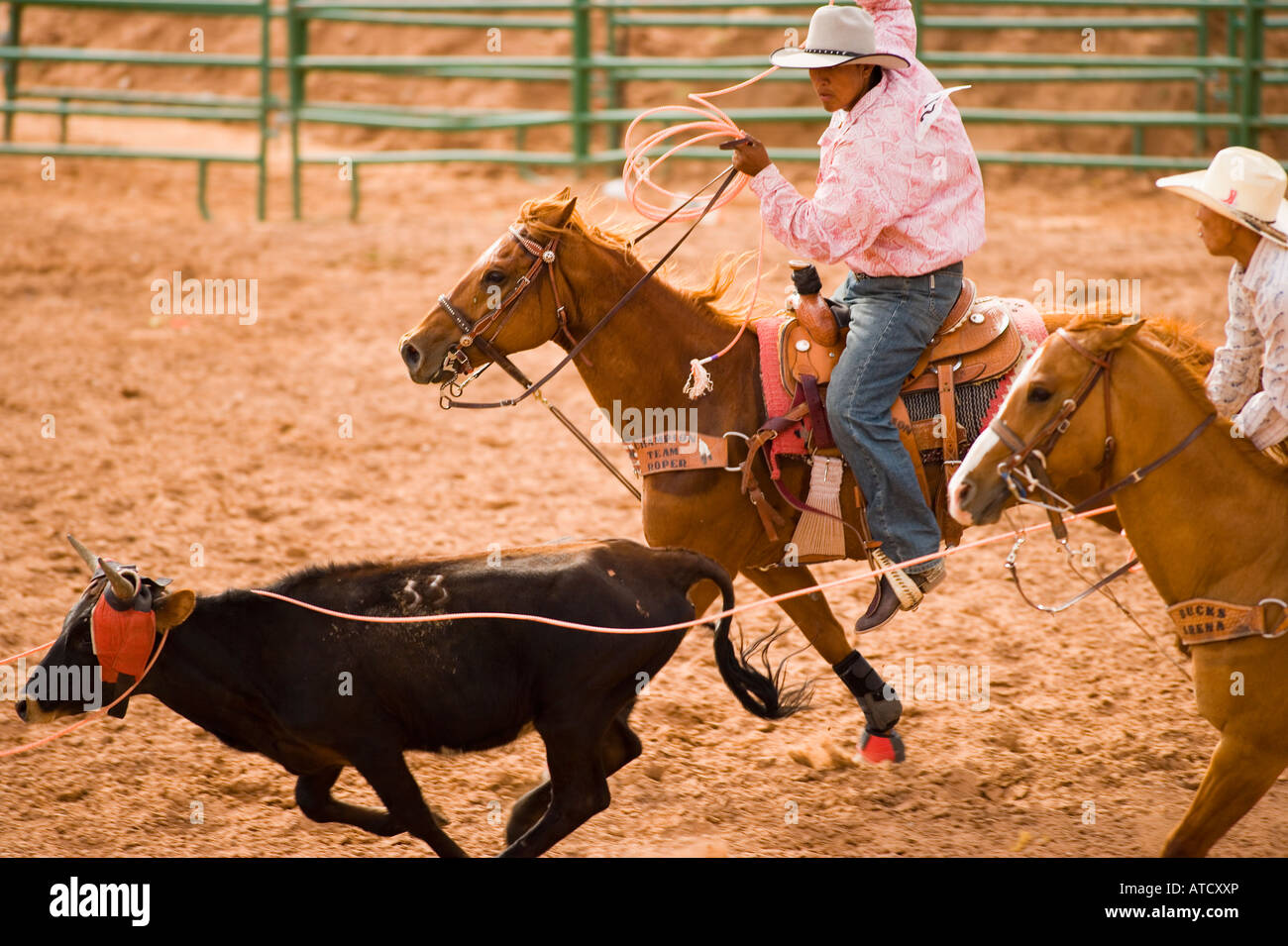 Riders en compétition dans l'équipe Steer Roping tous les événements de rodéo indien Inter Tribal Gallup Gallup de cérémonie indienne Nouveau Mexique Banque D'Images