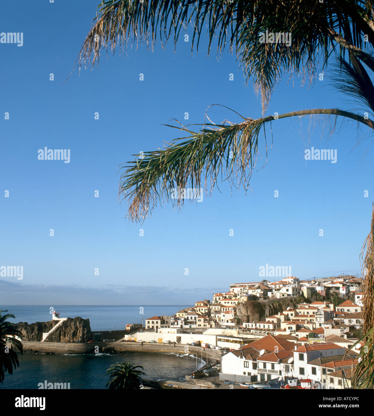 Le port de la côte sud village de pêcheurs de Camara de Lobos (où Winston Churchill utilisé pour la peinture), Madeira, Portugal Banque D'Images