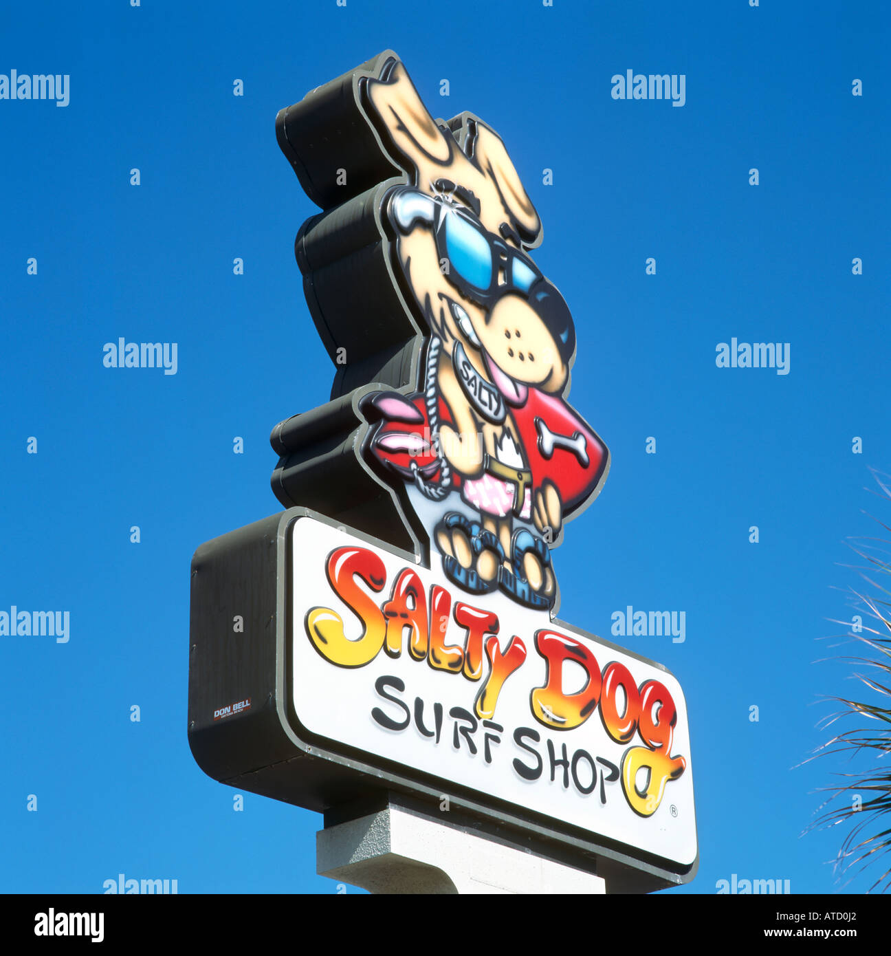 Signe pour Salty Dog Surf Shop, Daytona Beach, Floride, USA Banque D'Images