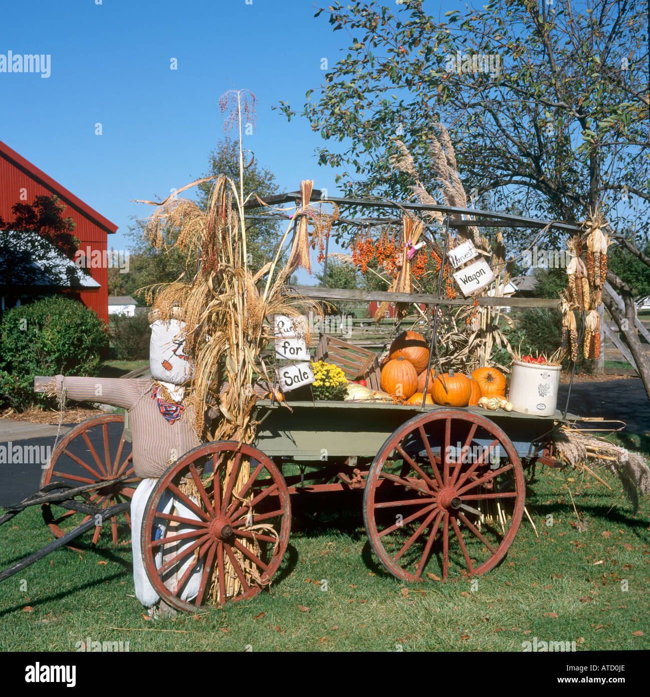 Affichage de l'Halloween Pumpkins ou Squash sur panier en Amish Acres, Indiana, USA Banque D'Images