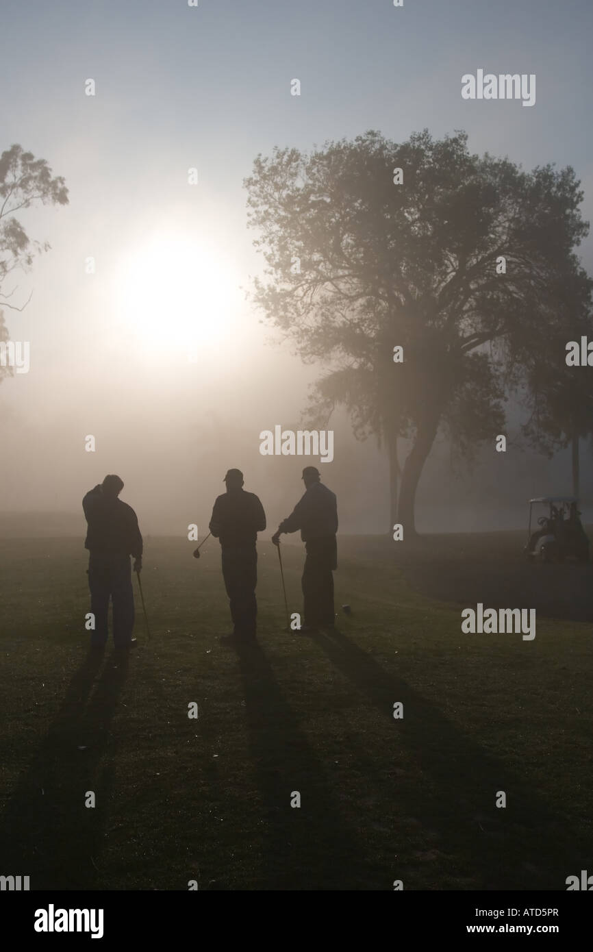 Tôt le matin, les golfeurs se profilant dans un brouillard dense avec un soleil levant Banque D'Images