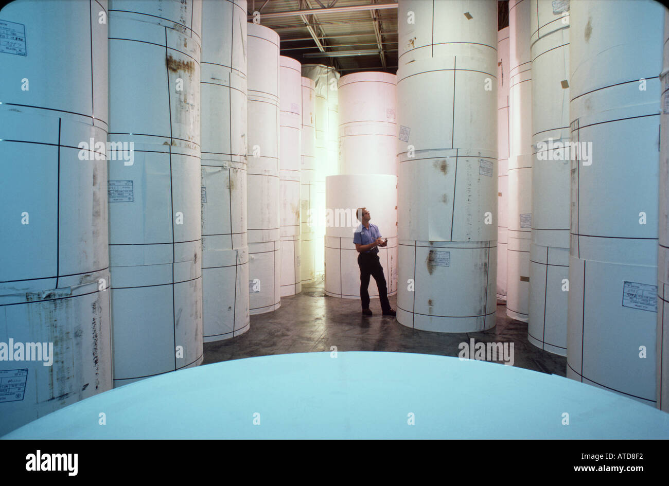 Un homme prend dans un journal de l'inventaire de l'entrepôt de l'usine de fabrication du papier Banque D'Images
