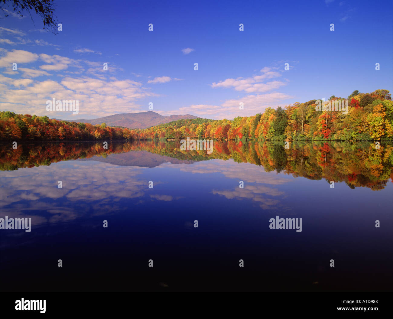 Le lac se situe en dessous des prix Grand-père entouré de montagne avec superbe feuillage d'automne et les montagnes Blue Ridge Banque D'Images