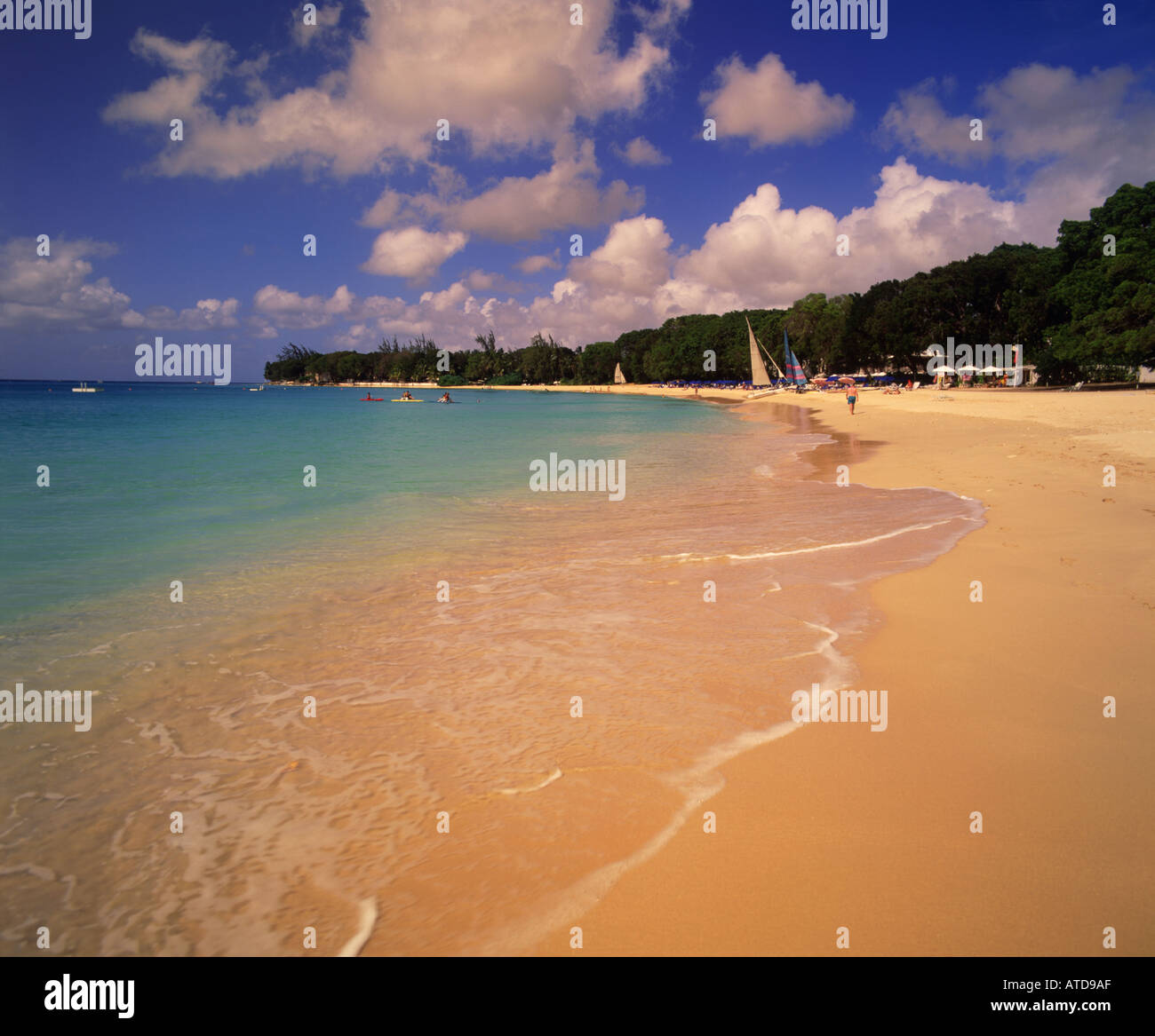 Plage de Sandy Lane à la Barbade Banque D'Images