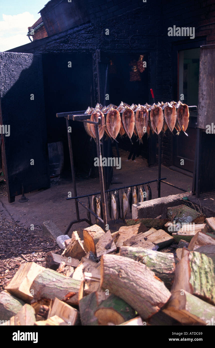 Le poisson fumé Richardson s smokehouse Orford Suffolk Angleterre Banque D'Images