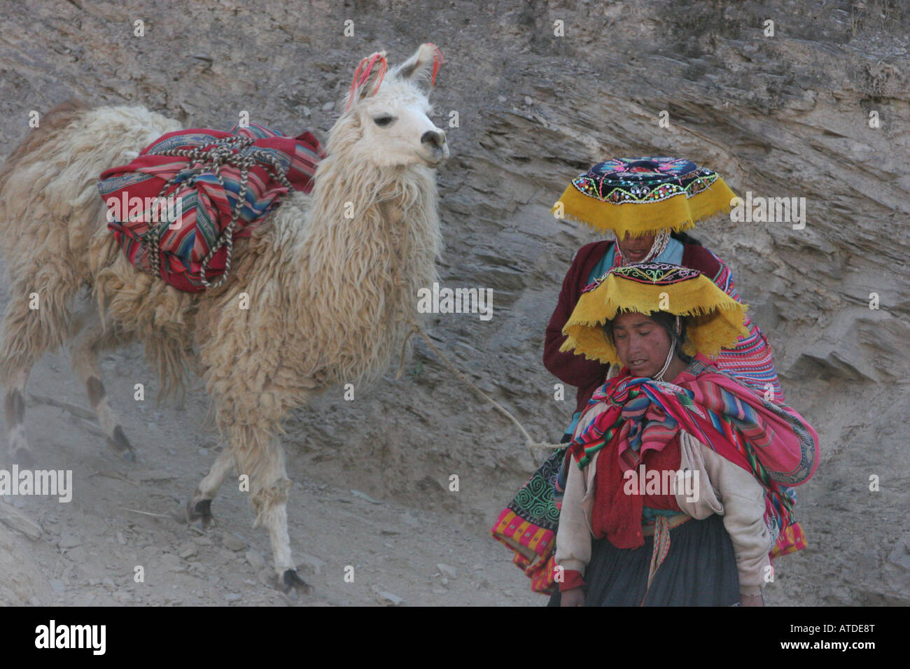 Les femmes péruviennes à pied vers le bas de la montagne avec leurs alpagas et de la famille au marché de Urcos, Pérou Banque D'Images