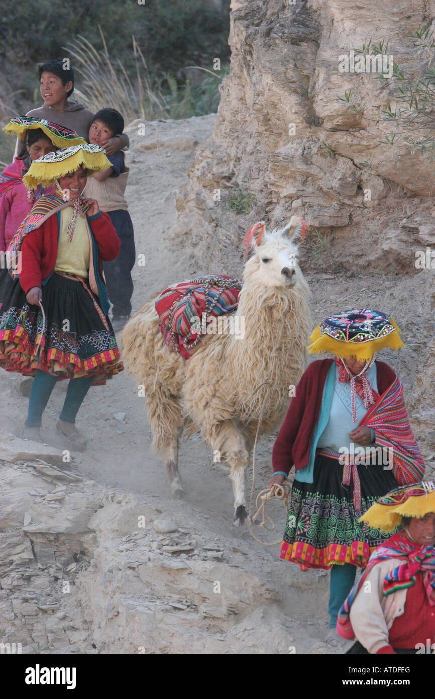 Les femmes péruviennes à pied vers le bas de la montagne avec leurs alpagas et de la famille au marché de Urcos Pérou Banque D'Images