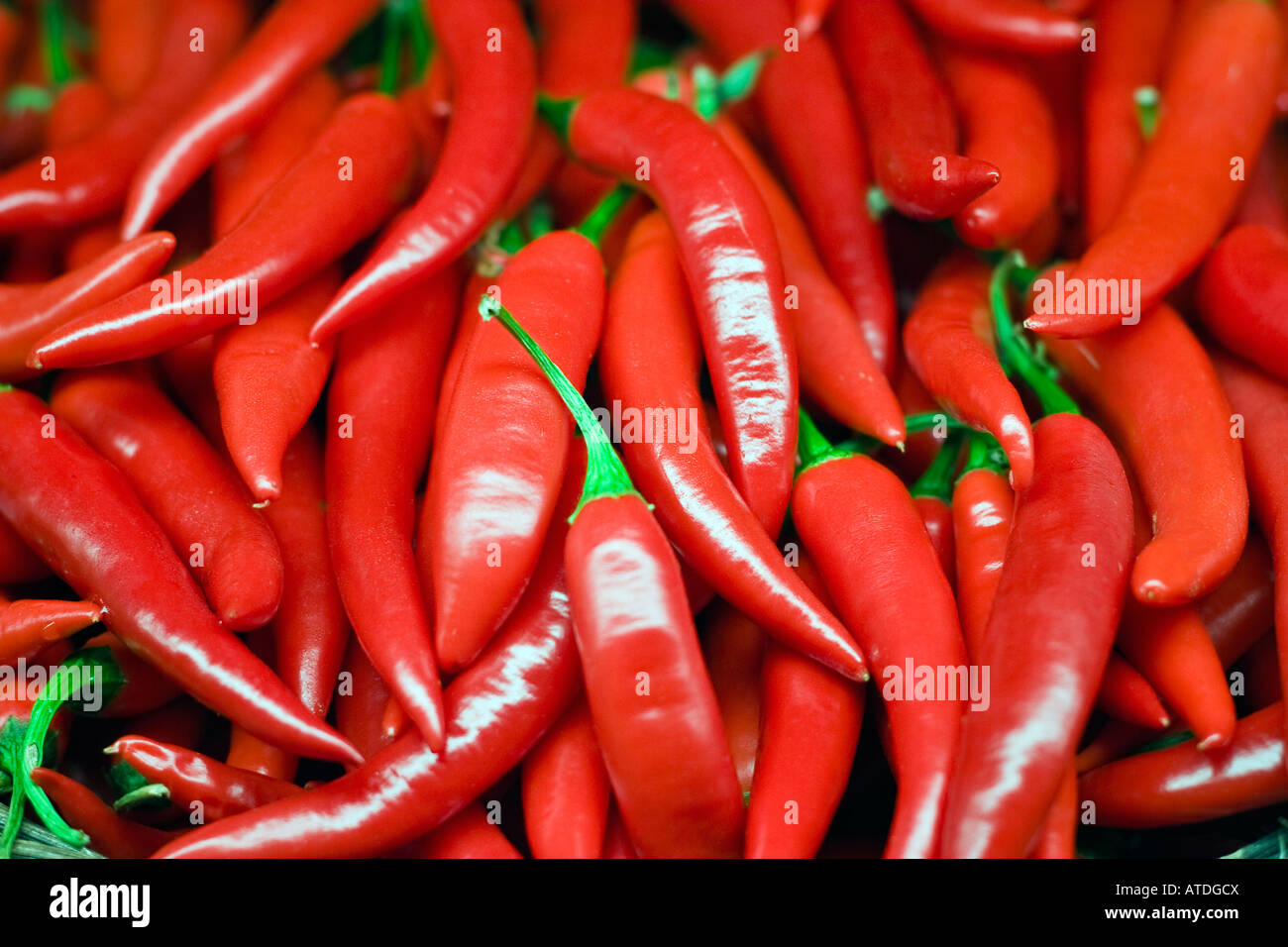 Red Hot Chili Peppers Banque D'Images