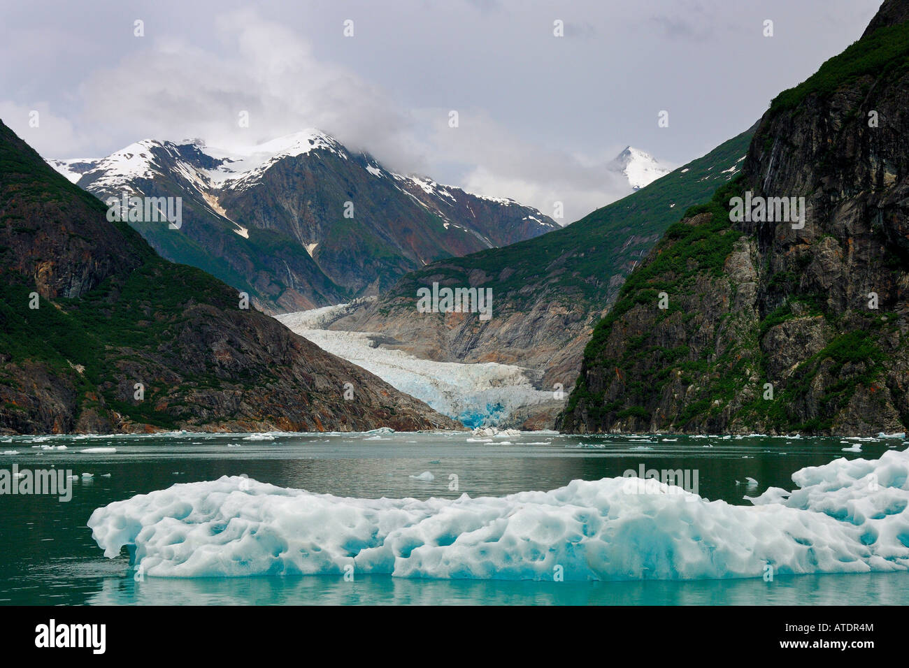 Tracy Arm Glacier Alaska Le Passage intérieur de l'Océan Pacifique Banque D'Images Tracy Arm Glacier Alaska Le Passage intérieur de l'Océan Pacifique Banque D'Images