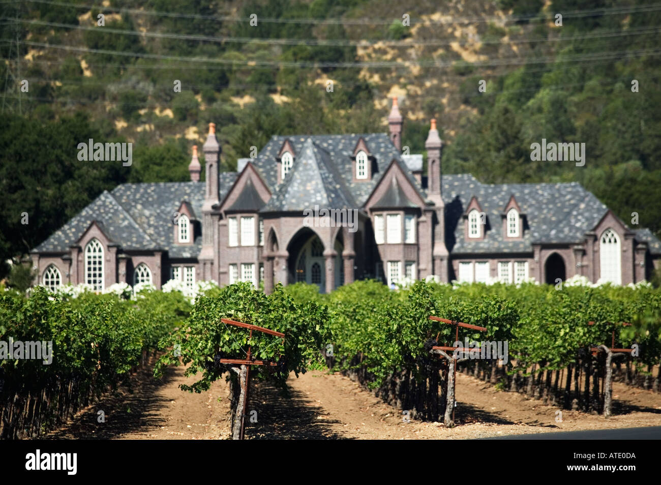 États-unis, Californie, Sonoma Valley, Kenwood, Ledson Winery Photo Stock -  Alamy