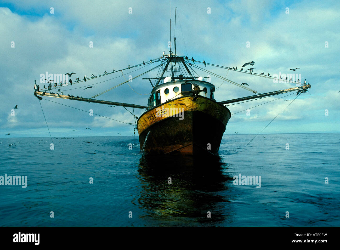 La pêche commerciale de la crevette au chalut destructrice à l'aide de filets, Mer de Cortez, au Mexique. Banque D'Images