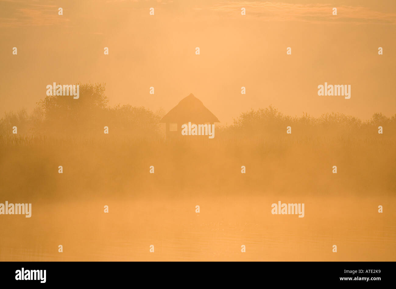 Misty sur Hickling vaste Norfolk UK Banque D'Images
