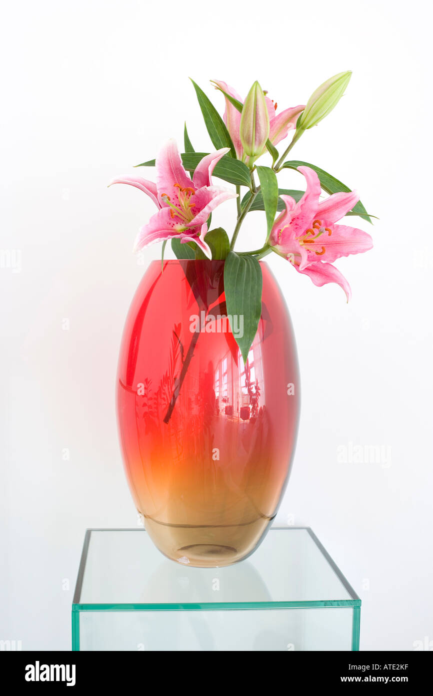 Des lis orientales roses dans Vase en verre rouge Banque D'Images
