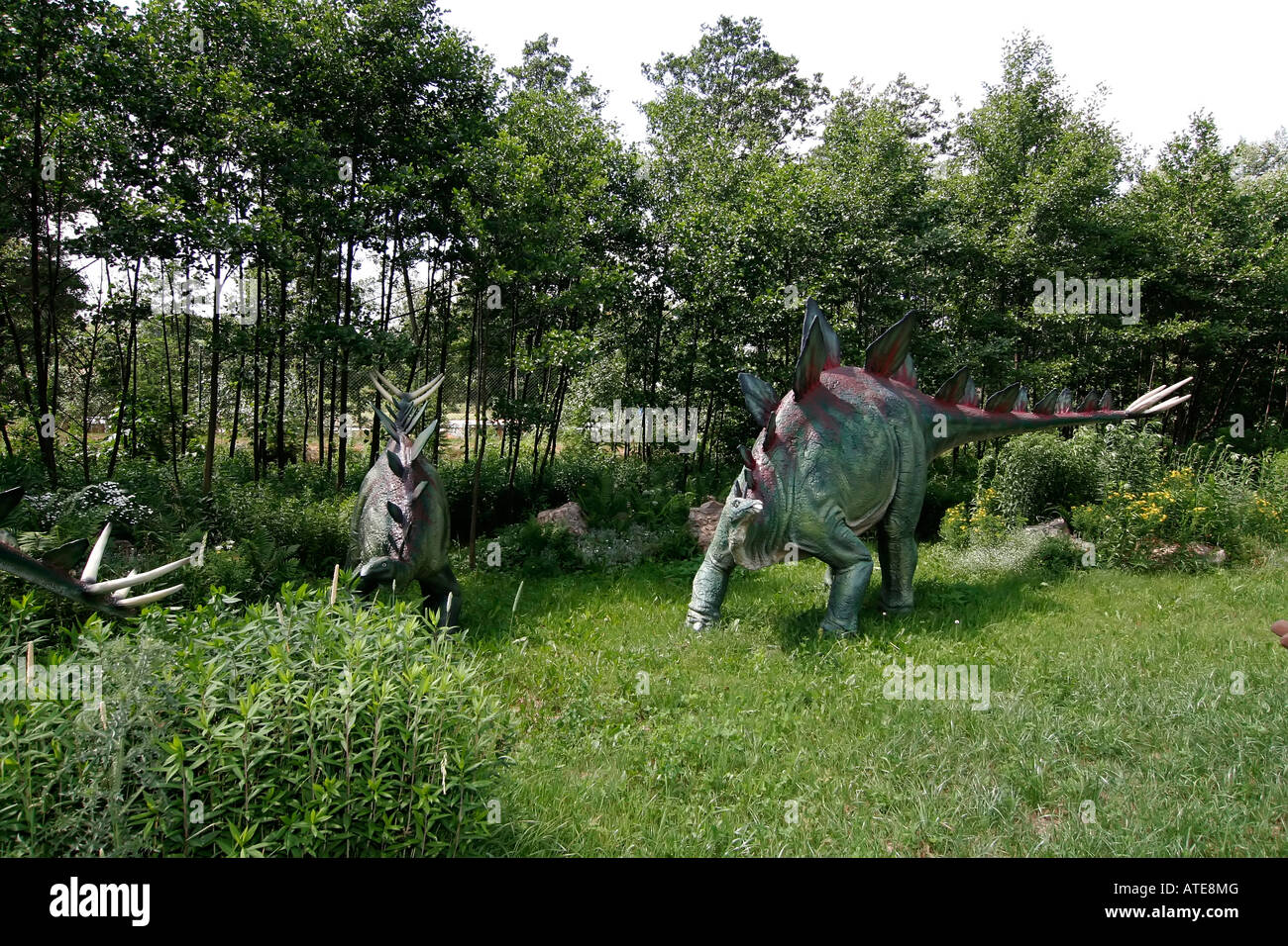 Parc à thème dinosaure Banque D'Images